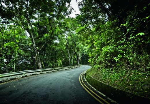 Picture of Curves Singapore